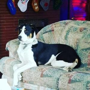 Meet your Posher, Jason